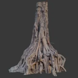 Tree Trunk with Exposed Roots