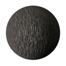 Rough Old Oak Tree Bark