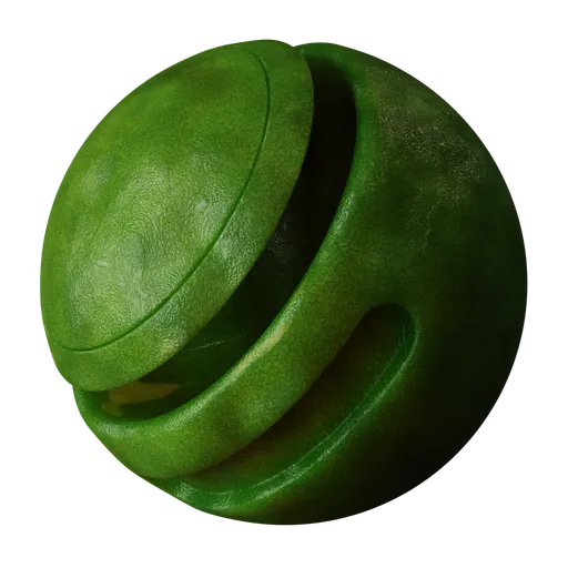 Plant Leaf