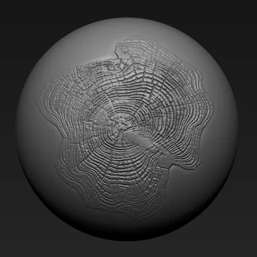 3D sculpting brush imprint of a detailed tree cross-section for Blender wood textures.