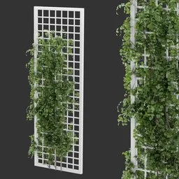 Simple Grid Ivy Plant