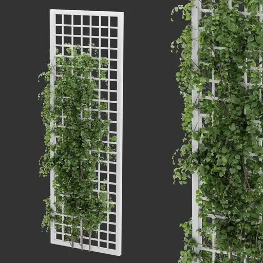Simple Grid Ivy Plant