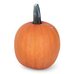 Pumpkin orange squash halloween scan