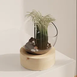 Glass Terrarium Plant