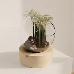 Glass Terrarium Plant