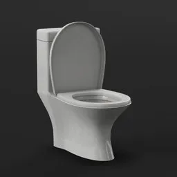 Toilet Seat