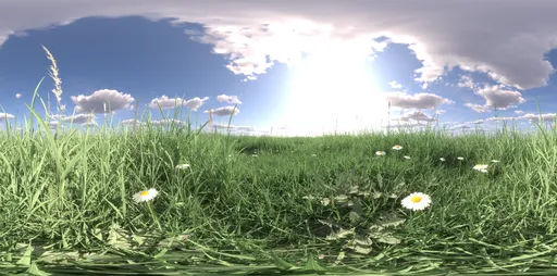 Morning light grass 16k
