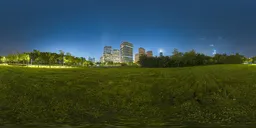 Seaside grass at night