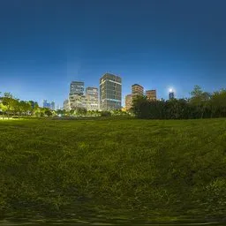 Seaside grass at night