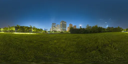 Seaside grass at night