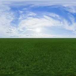 Green grass cloudy blue sky pure sky