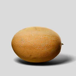 Hybrid Melon – Exotic Fusion Fruit