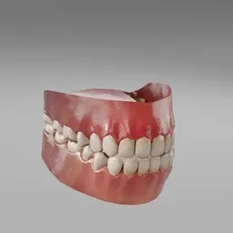 Teeth
