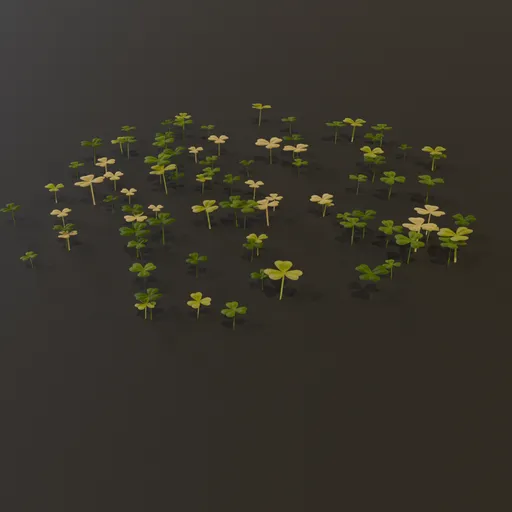 Grass Clover Grownd Cover