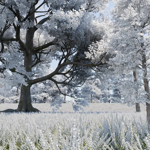 White Blossom
