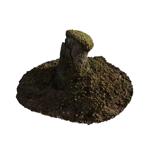 Mossy Stump