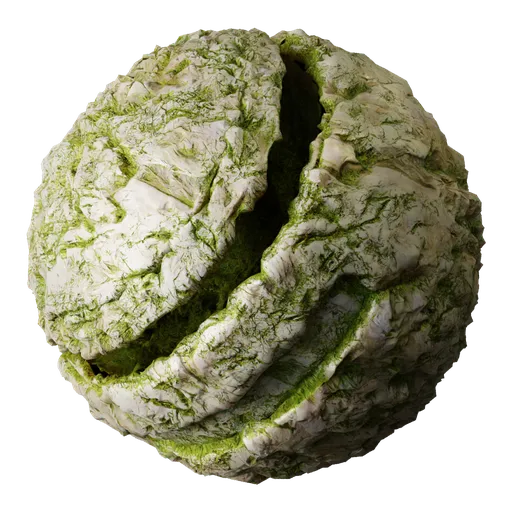 Desert Rock Moss