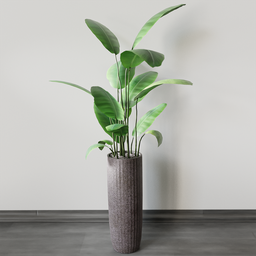 Alt text: "Animated indoor ficus plant in gray concrete pot 3D model for Blender 3D. Nature indoor category asset with lifelike sustainability and lush green leaves."