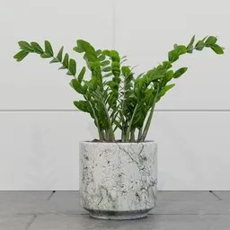 Plant
