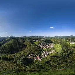 Forest, blue sky, sky HDR