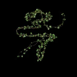 Climbing Vine - Leaf 11