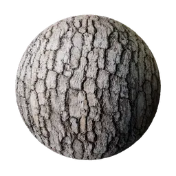 Pine Tree Surface