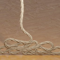 Rope with Easy Physics