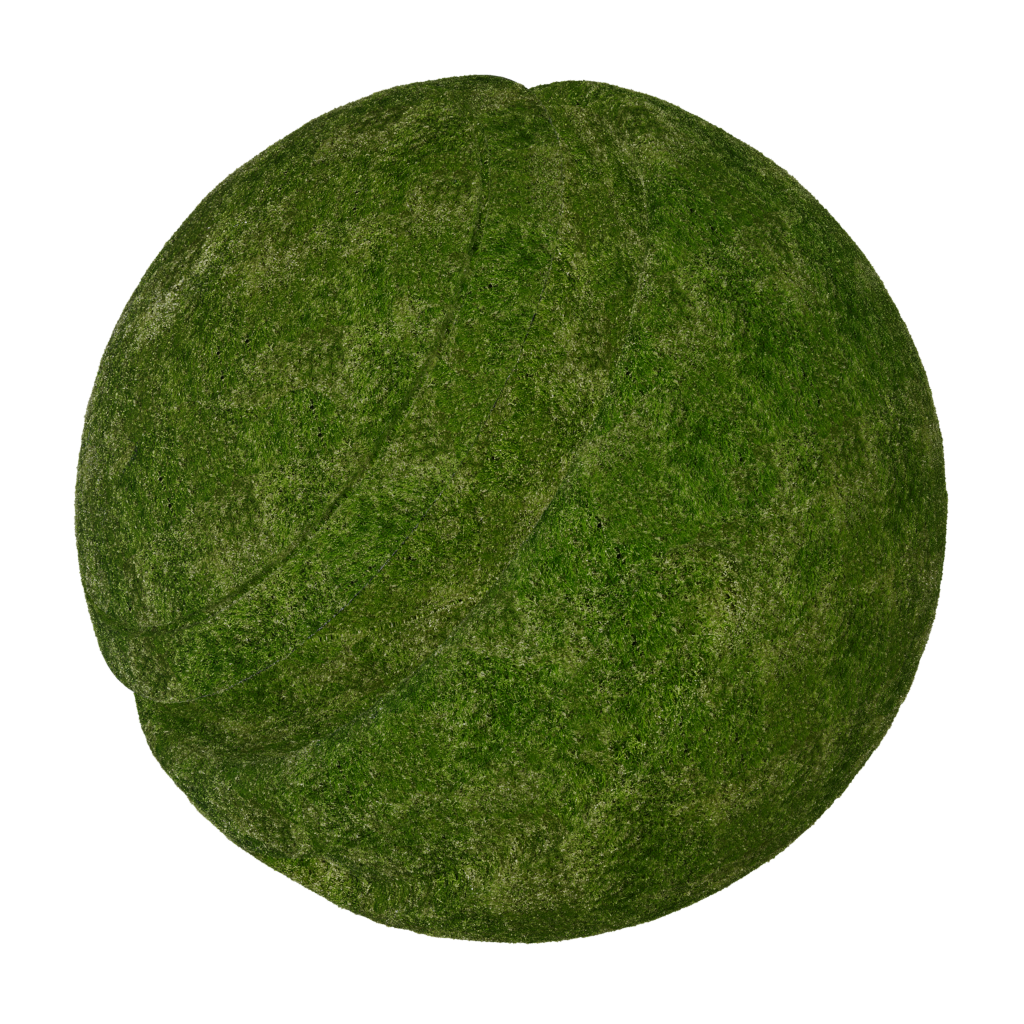 BlenderKit Download The FREE Grass 05 Material blenderkit-download-the-free-grass-05-material