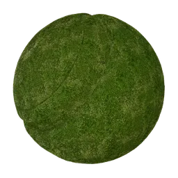 High-quality PBR grass material for Blender 3D, perfect for realistic vegetation in virtual scenes.