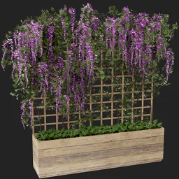 Alt text: A realistic 3D model of a Mexican Ivy plant in a wooden planter with a trellis, featuring spiraling bushes and vibrant purple salvia flowers. Perfect for adding natural detail to your Blender 3D scenes.