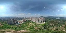 Highsky green grass tree building