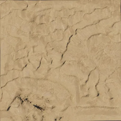 Terrain