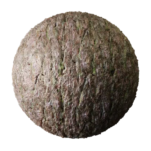 Bark Cedar