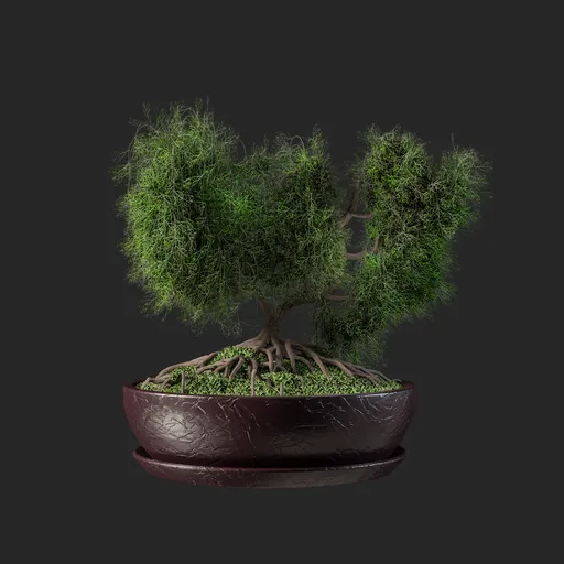 Plant
