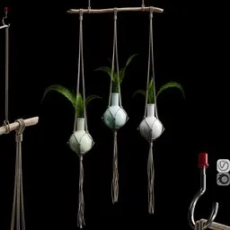 Hanging Plant Trio DIY