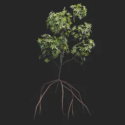 Mangrove Plant + Geometry Nodes + animation