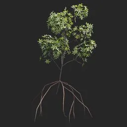 Mangrove Plant + Geometry Nodes + animation
