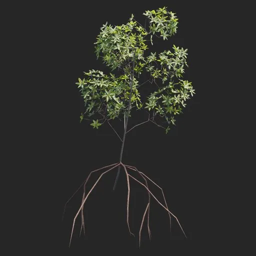 Mangrove Plant + Geometry Nodes + animation