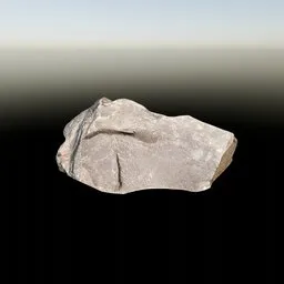 Small Flat Stone | Photo Scan
