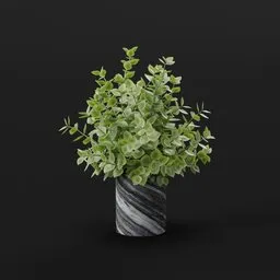 Marble Pot Green Plant