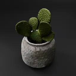 Prickly Pear Cactus in Stone Pot