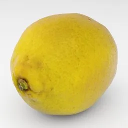 Lemon agrume yellow fruit realistic scan