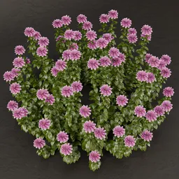 SJ-Whimsical Flower Patch