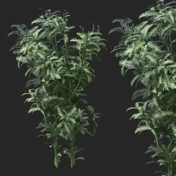 Silver Green Feather Leaf Simple Plant