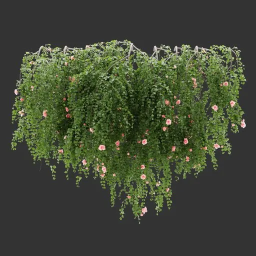 Wall Hanging Plant
