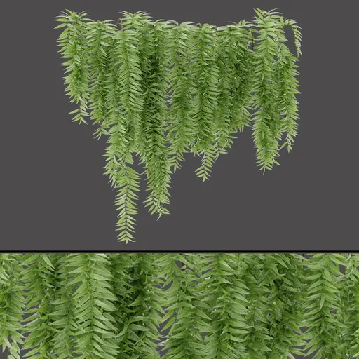Realistic Hanging Foliage