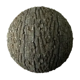 Forest Armor Tree Bark