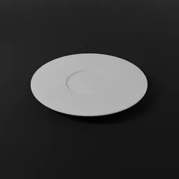 Fine Dining Ceramic Plate Large Rimmed