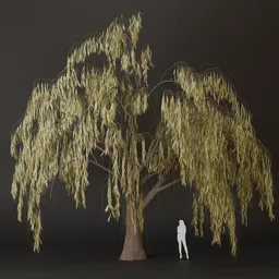 SJ-Rainfall of Leaves