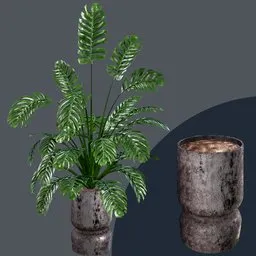 Realistic Monstera plant 3D model with PBR vase for Blender rendering, detailed textures and modeled soil.